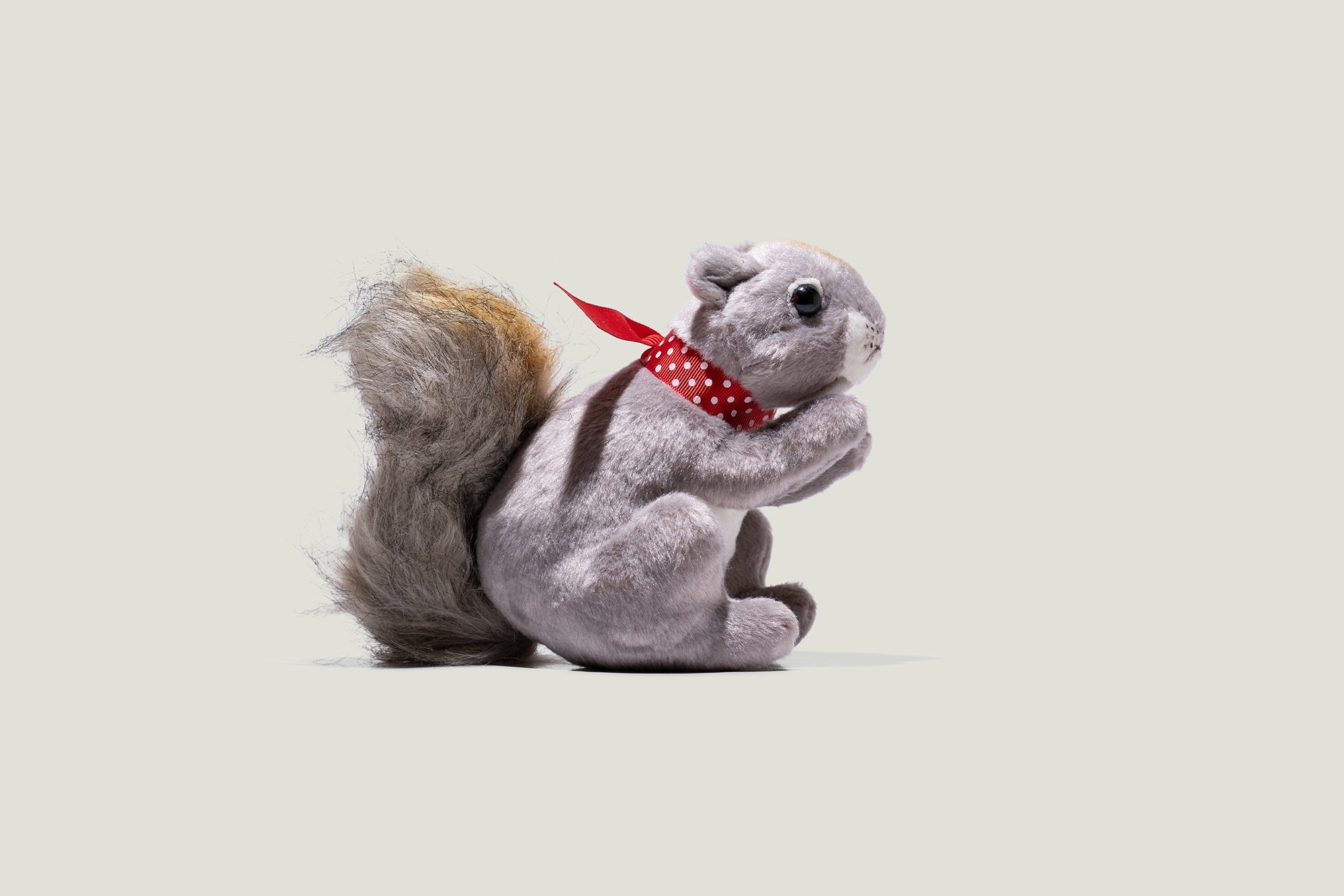 Paige the Squirrel Plush Toy