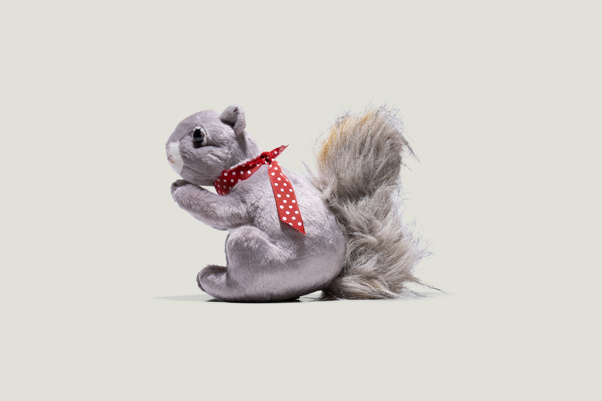 Paige the Squirrel Plush Toy