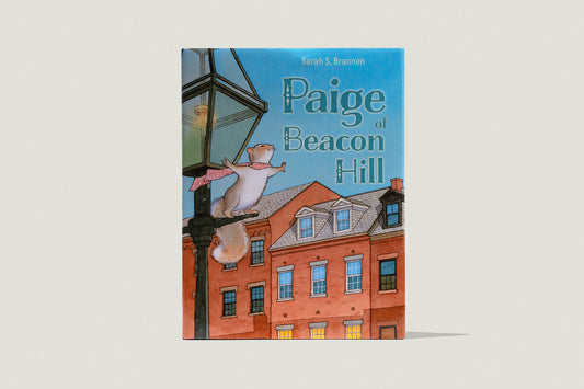 Paige of Beacon Hill by Sarah S. Brannen