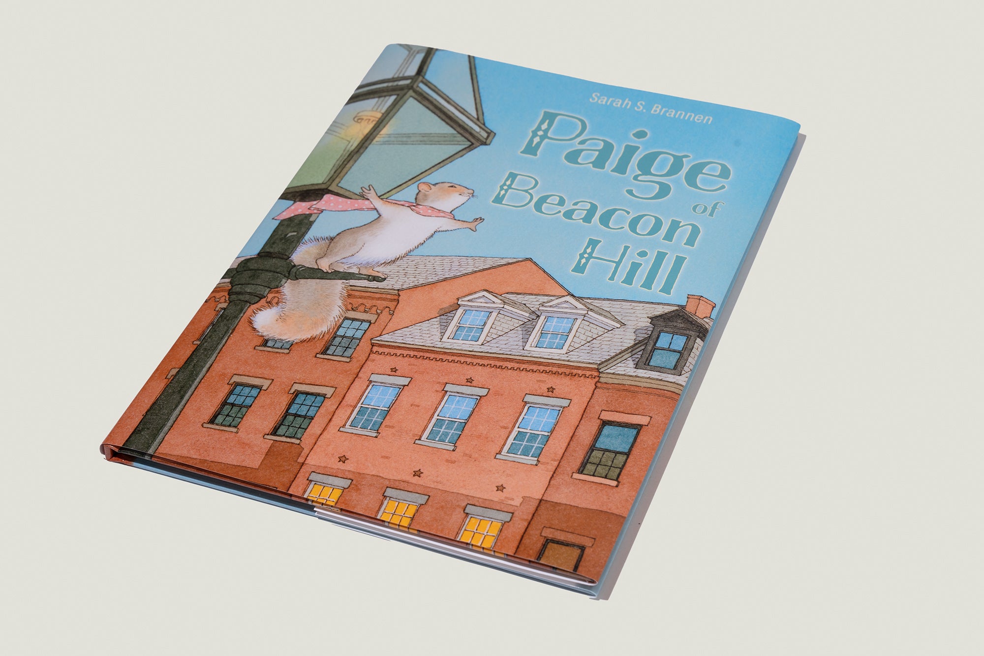 Paige of Beacon Hill by Sarah S. Brannen
