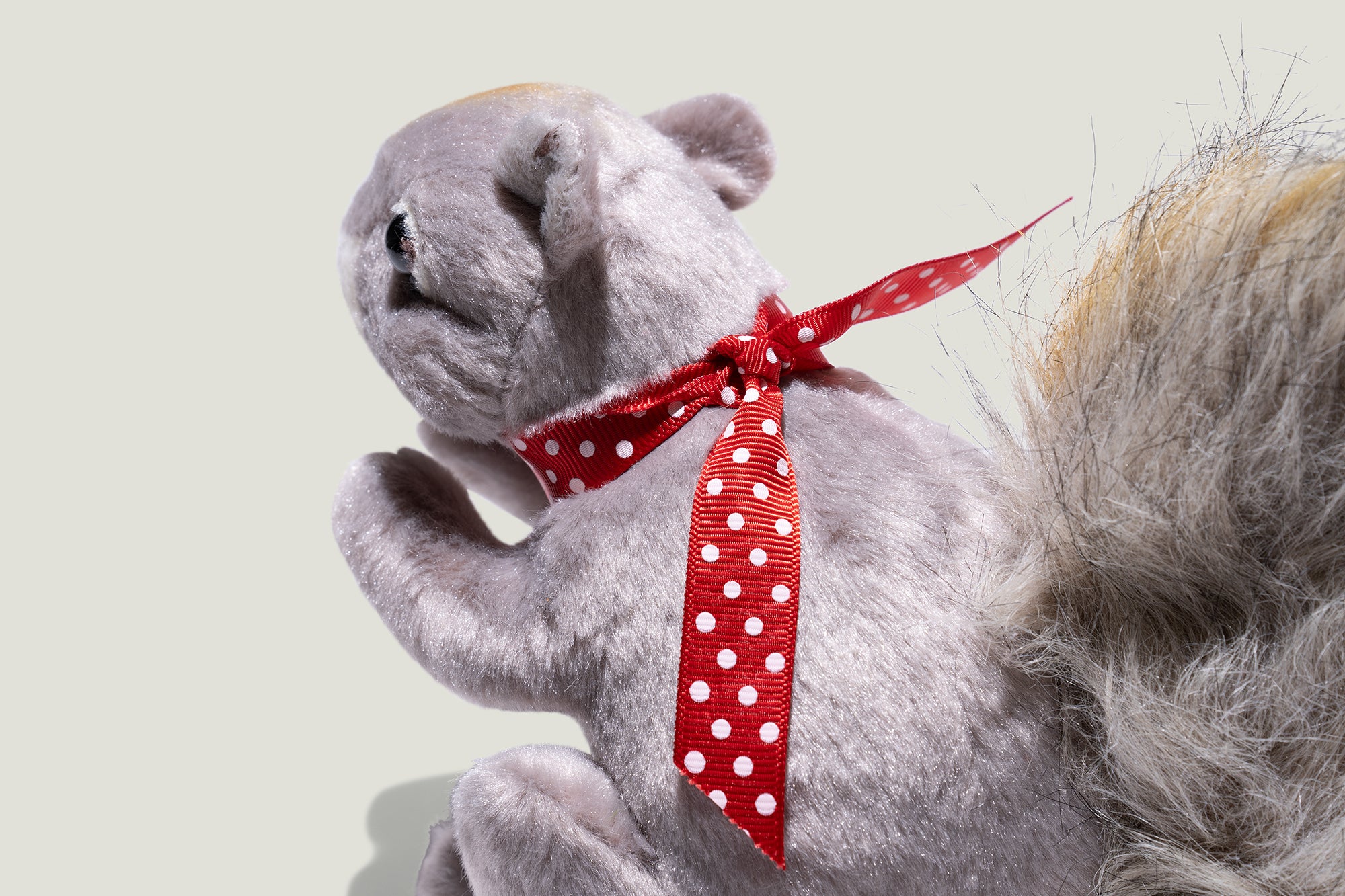 Paige the Squirrel Plush Toy
